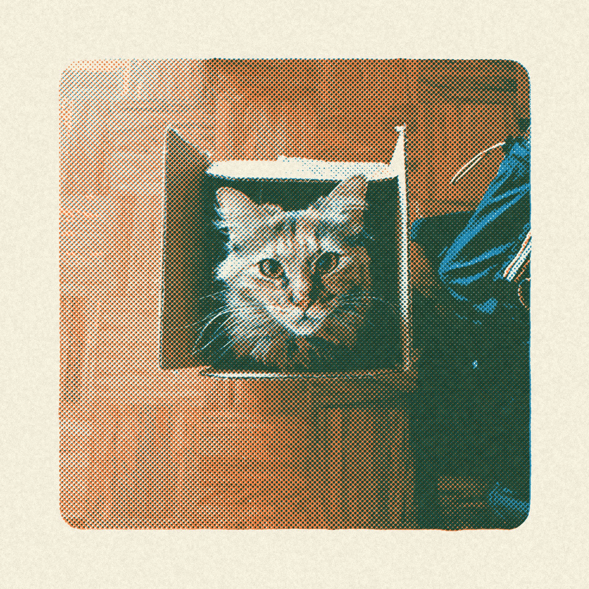 Warm paper risograph effect featuring a cat in a square frame