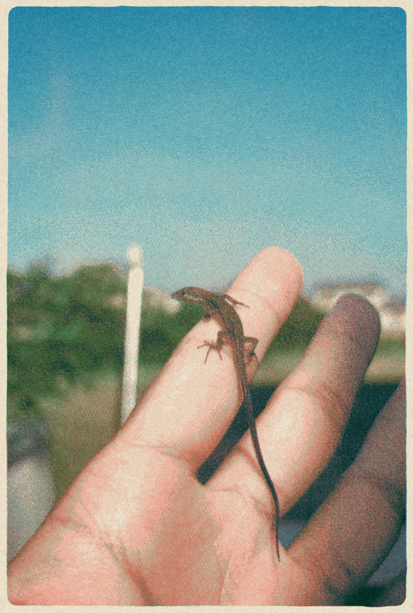 Blue and coral riso photo effect of a spider resting on fingers