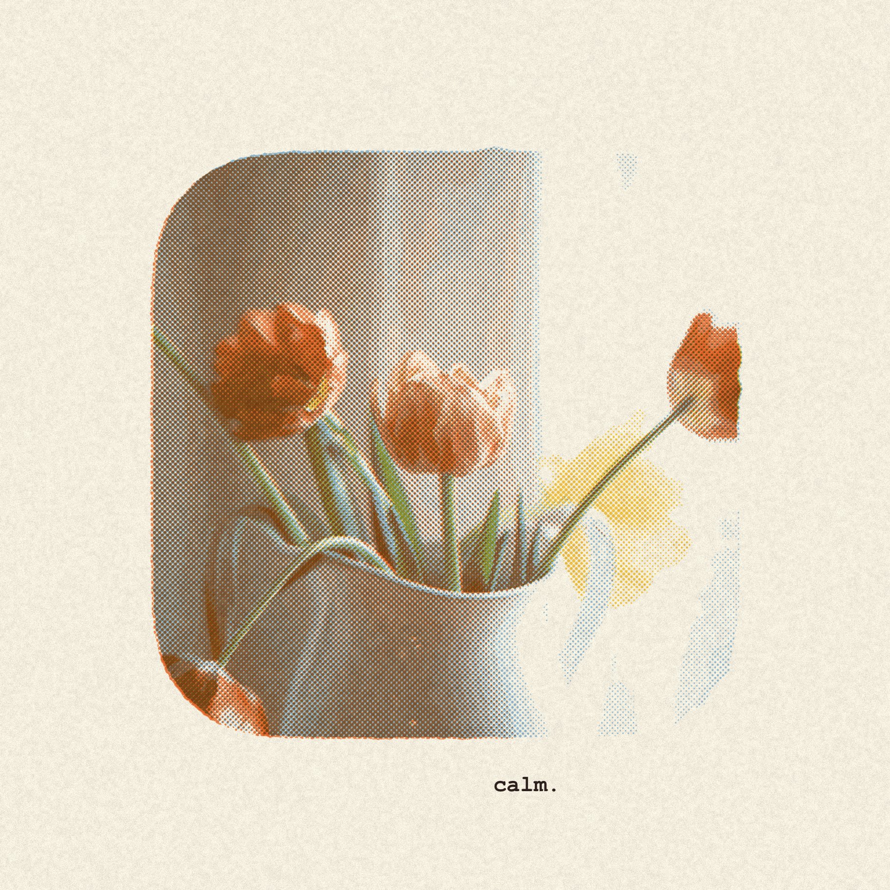 Editorial risograph filter result of orange tulips by a window