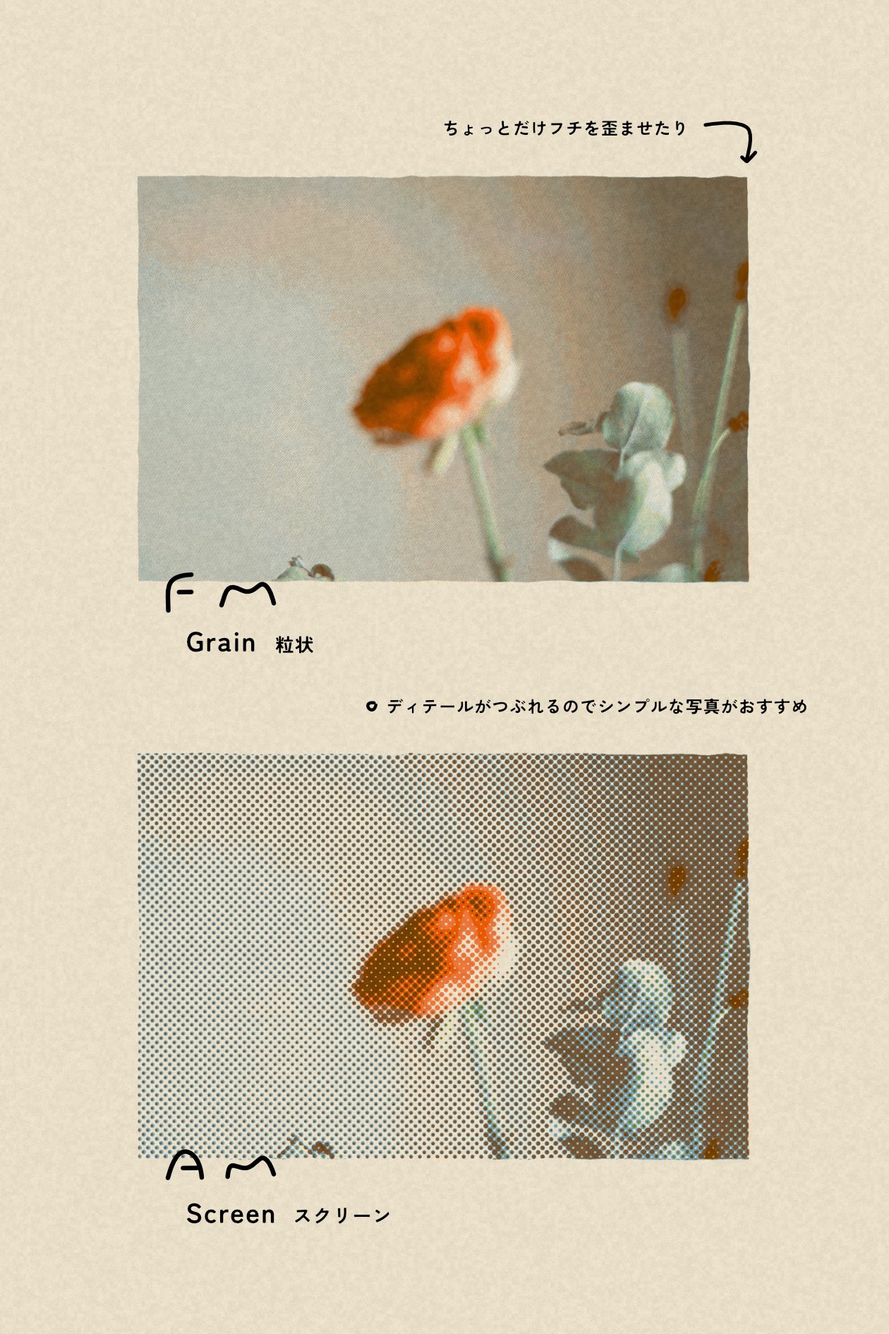 Before and after grain comparison for an orange flower riso photo effect